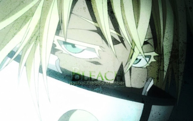 Bleach wallpaper 0048