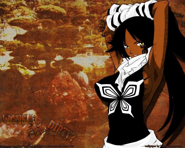 Bleach wallpaper 0061