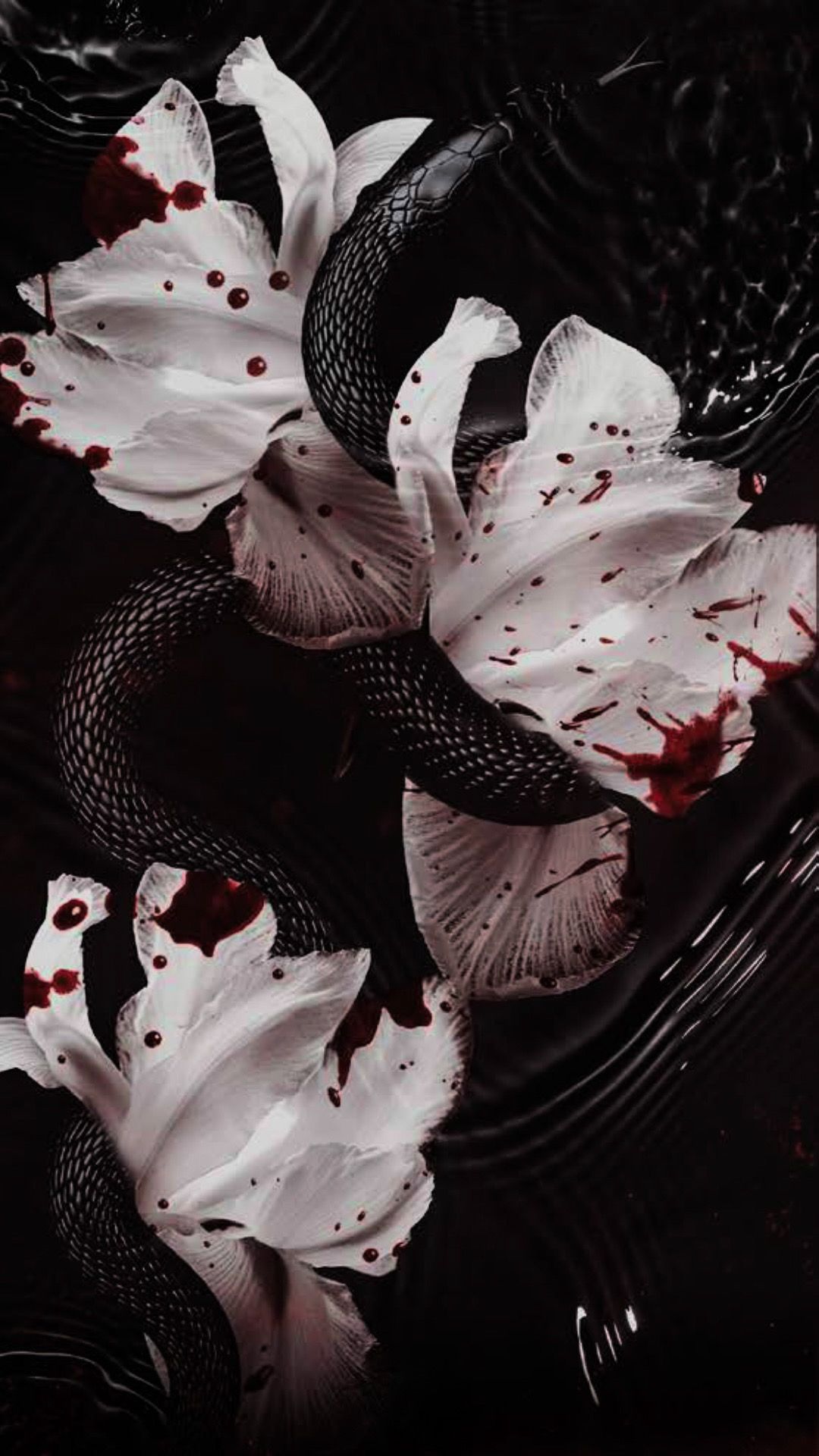 Blood wallpaper 0032
