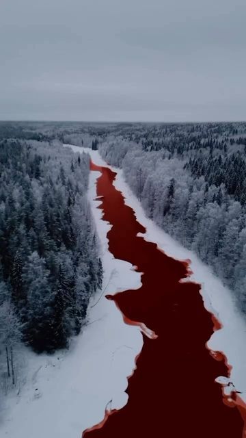 Blood wallpaper 0097