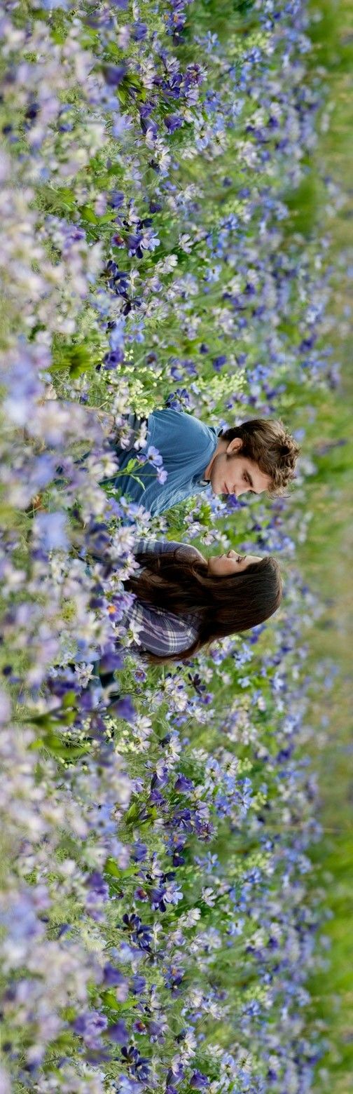 Edward wallpaper 0060