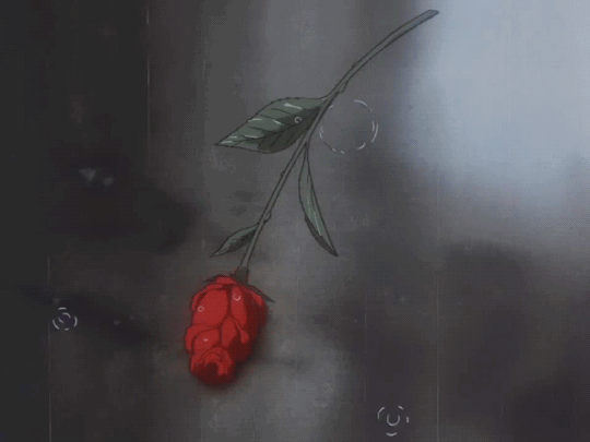 Kaname Kuran wallpaper 0052