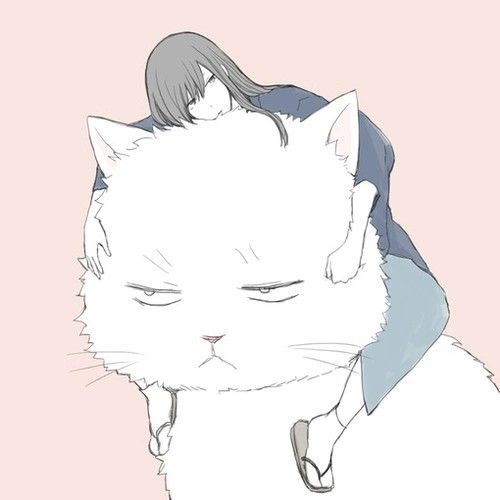 Katsura Kotarou wallpaper 0051
