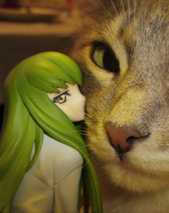 Lelouch wallpaper 0037