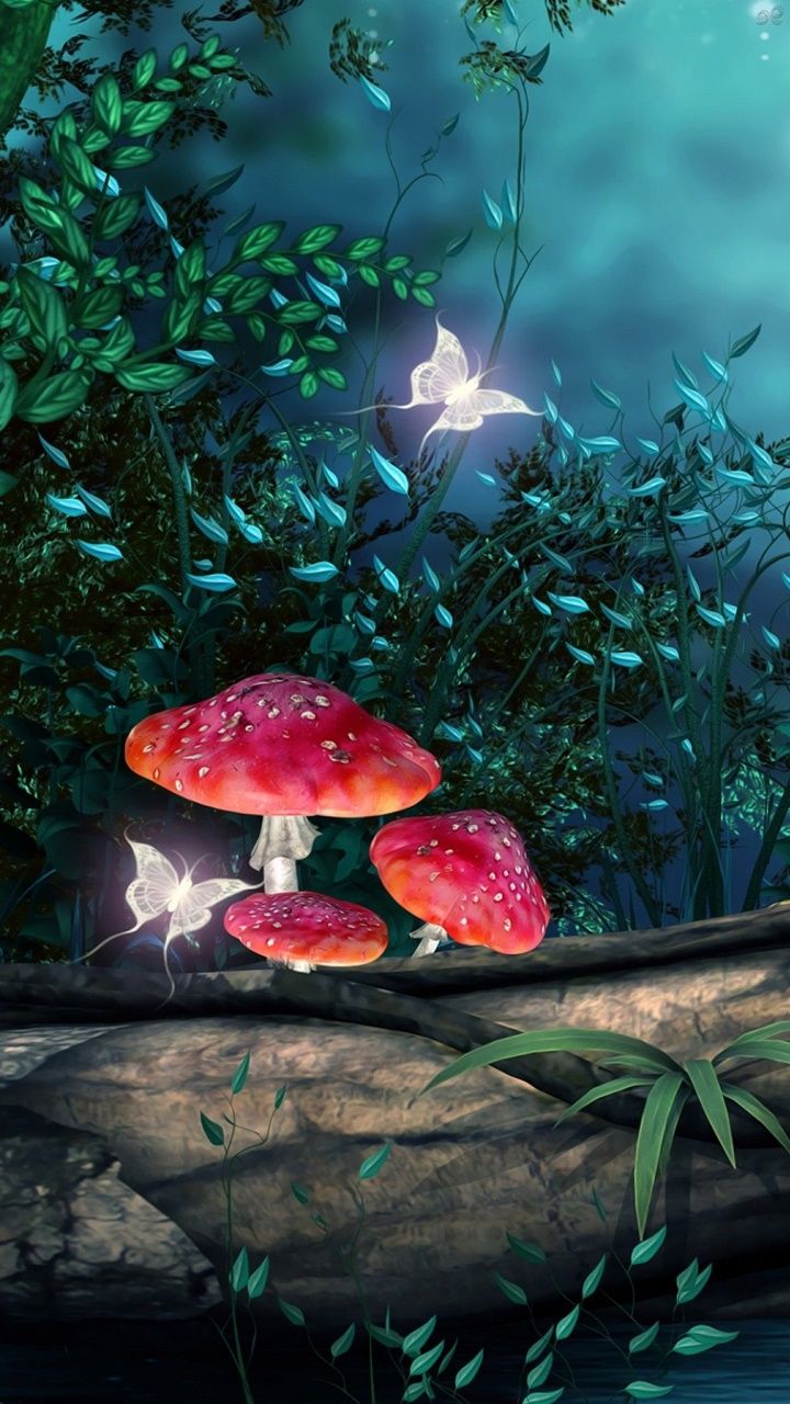 Maya Fey wallpaper 0057