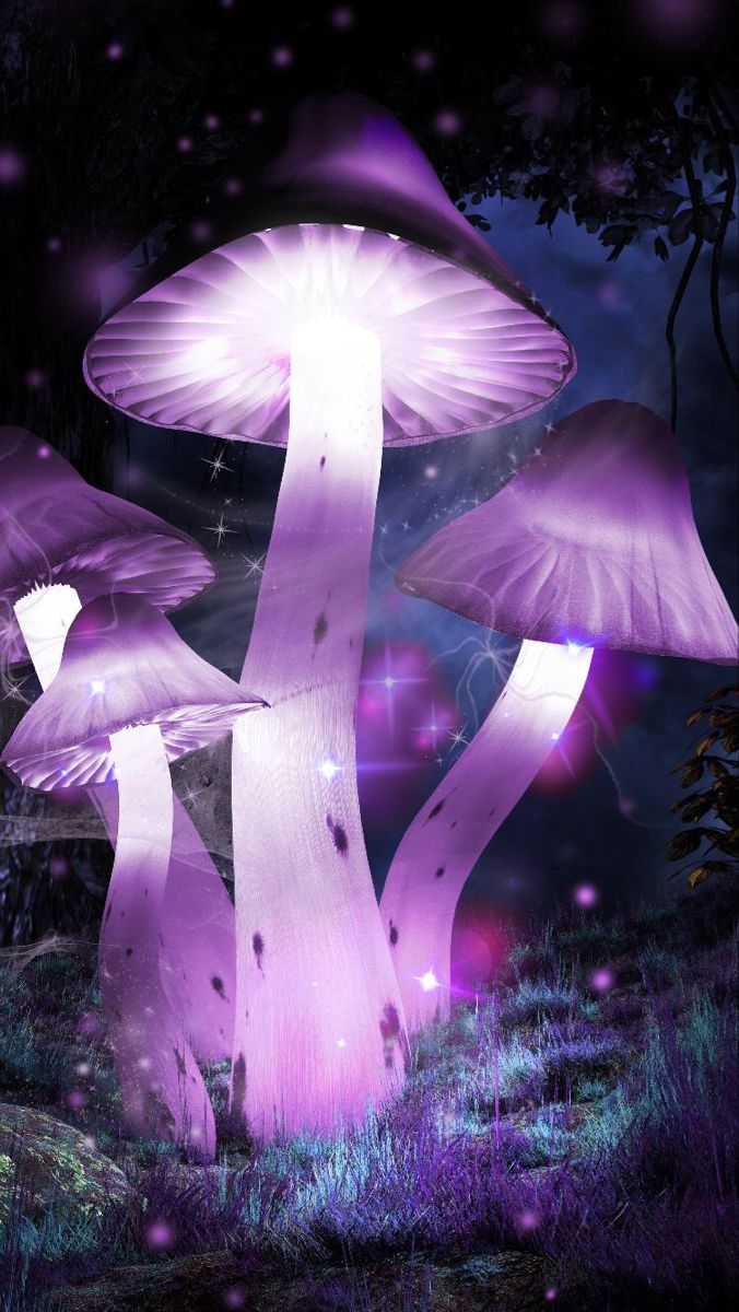 Maya Fey wallpaper 0072