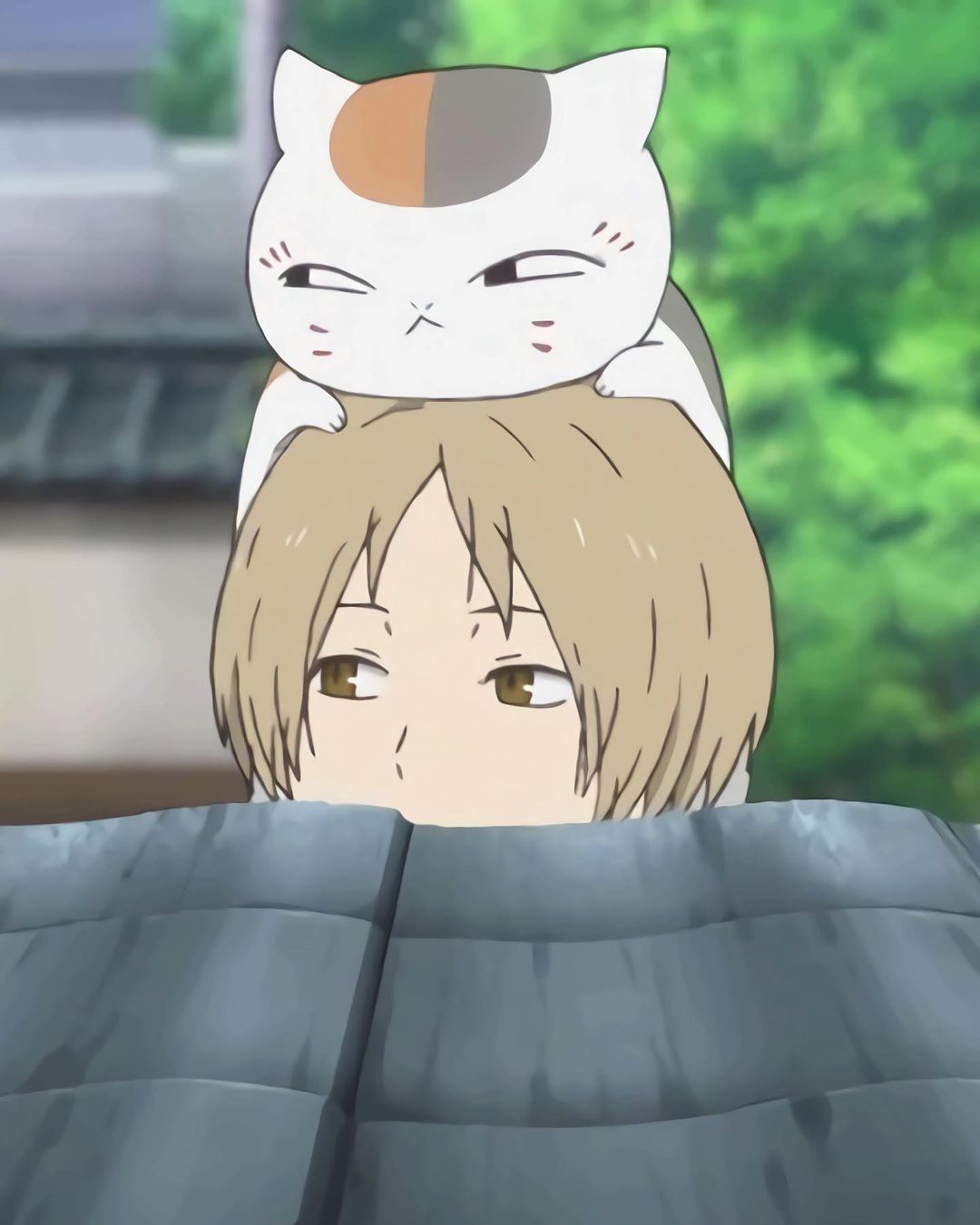 popular Natsume Takashi wallpapers