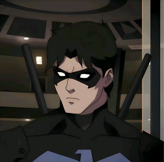 Robin wallpaper 0040