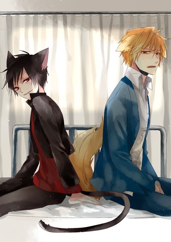 Sasori wallpaper 0046