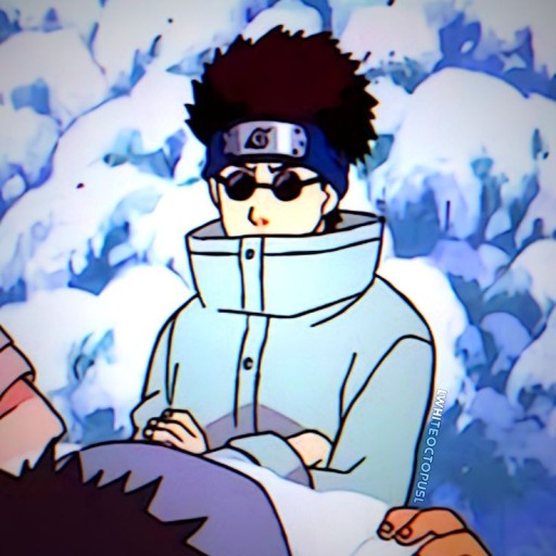 Shino Aburame wallpaper 0031