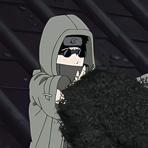 Shino Aburame wallpaper 0059