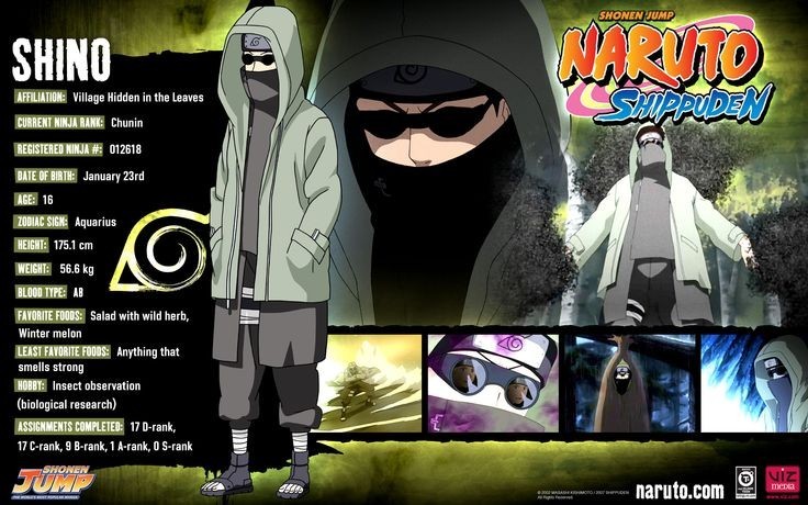 Shino Aburame wallpaper 0063