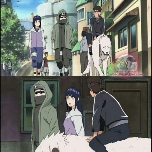 Shino Aburame wallpaper 0085