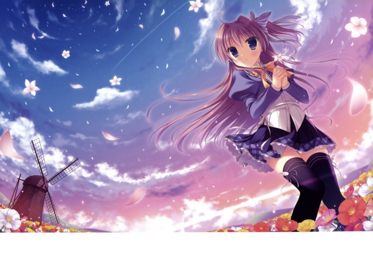Sora wallpaper 0021