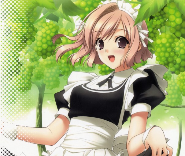 Sora wallpaper 0025