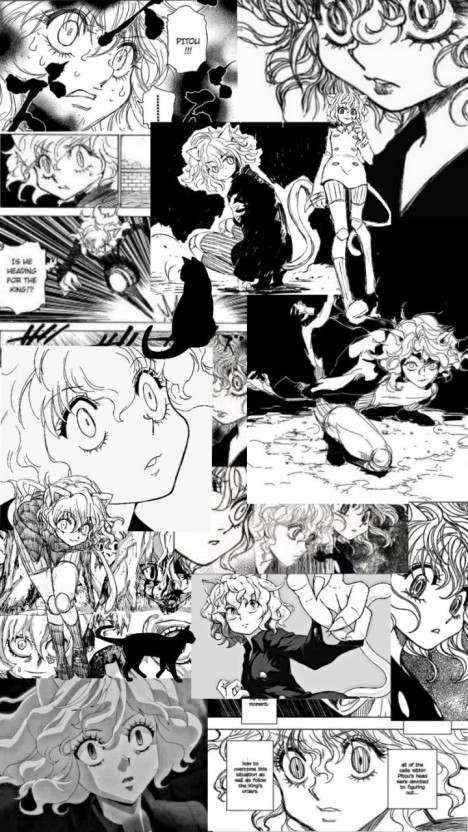 stylish Hunter x Hunter wallpaper art
