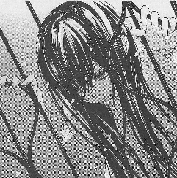 Yuki Cross wallpaper 0081