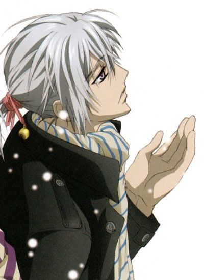 Zero Kiryu wallpaper 0093